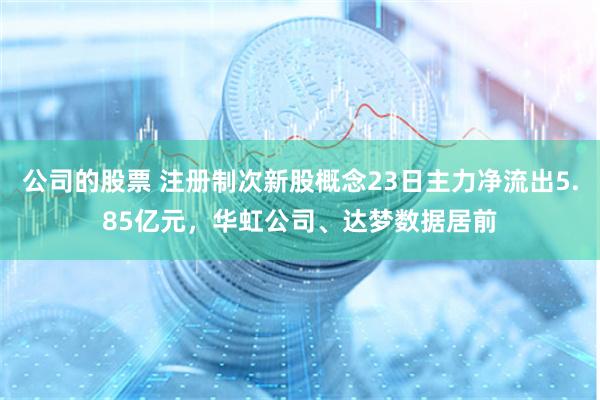 公司的股票 注册制次新股概念23日主力净流出5.85亿元，华虹公司、达梦数据居前