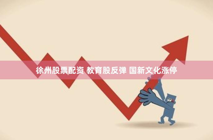 徐州股票配资 教育股反弹 国新文化涨停