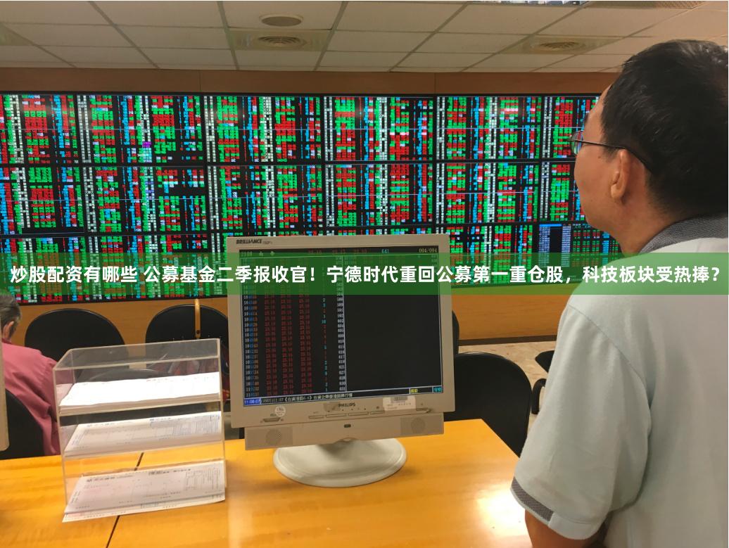 炒股配资有哪些 公募基金二季报收官！宁德时代重回公募第一重仓股，科技板块受热捧？